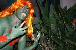 Check out Blanka's plants