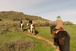 Horseback riding in the hills 1