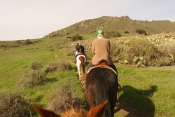 Horseback riding in the hills 2