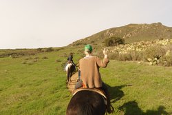 Horseback riding in the hills 4