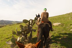 Horseback riding in the hills 6