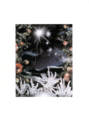 Chris R. Christmas card - 2002