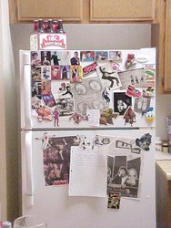 The fridge