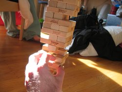 IMG_3530