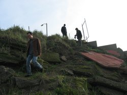 IMG_3547