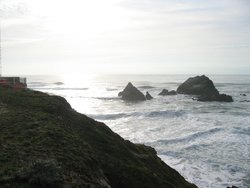 IMG_3550