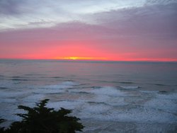 IMG_3554
