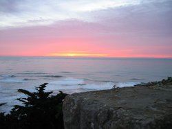 IMG_3555