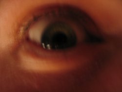 IMG_3561