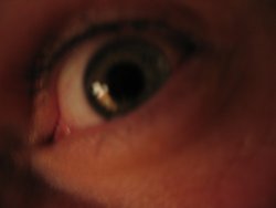 IMG_3563