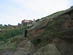 IMG_5953