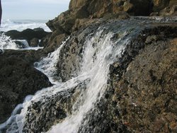 IMG_5965