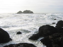 IMG_5967