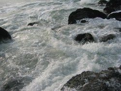 IMG_5969