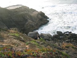 IMG_5974