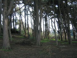 IMG_5978