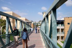 Crossing the bridge into the School of Arts