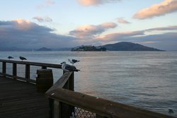 If you're wondering what Alcatraz looks like... Well, here you go.