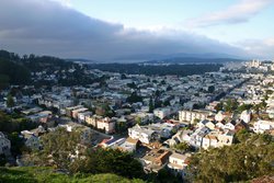 Looking out at the park and the Pacific