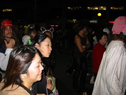 IMG_1154