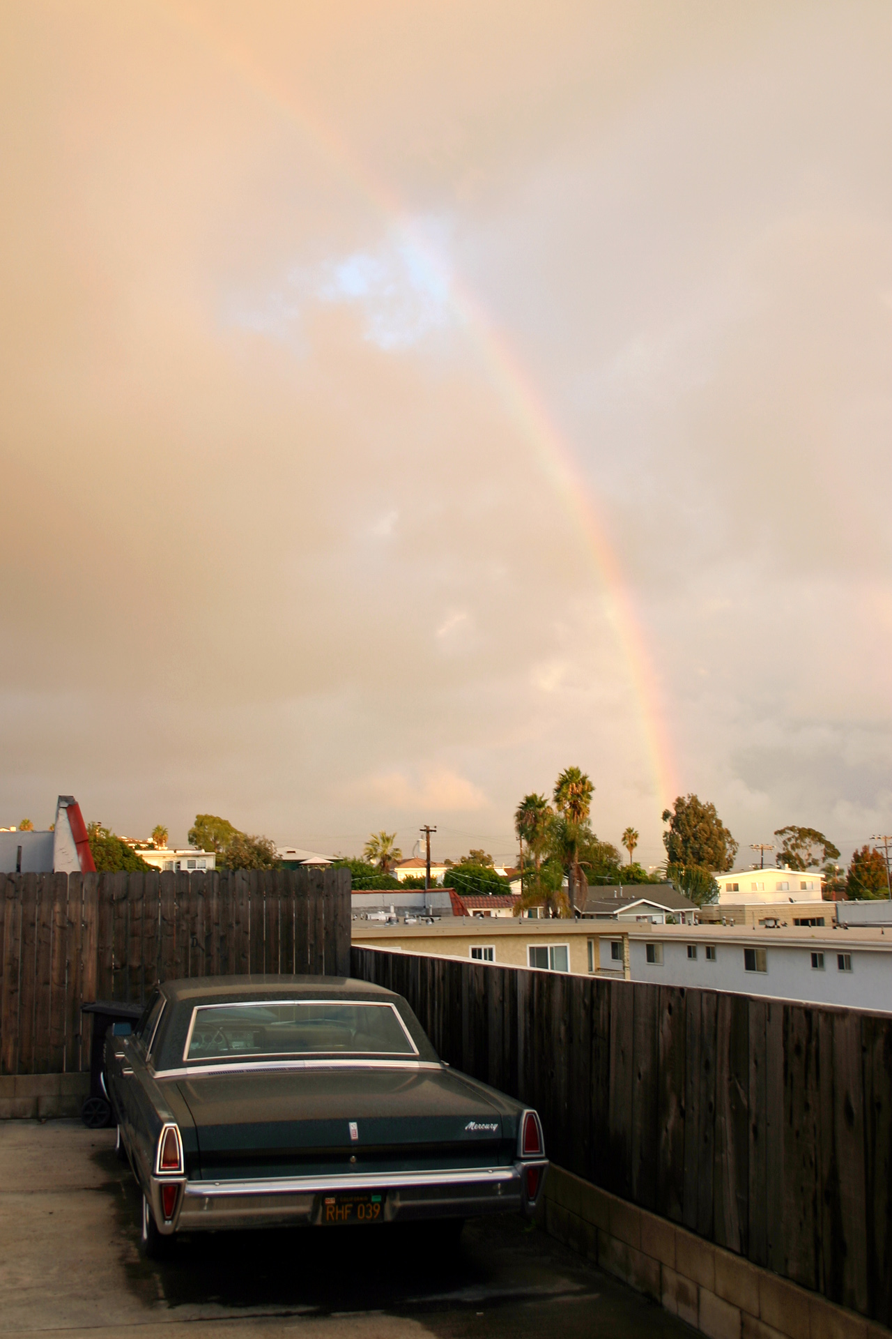DP Rainbow