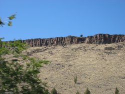 IMG_4293