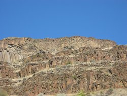 IMG_4295