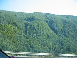 IMG_4298