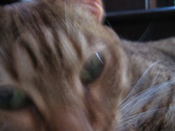 IMG_4304