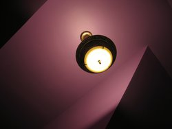 IMG_4330