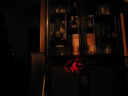 IMG_4332