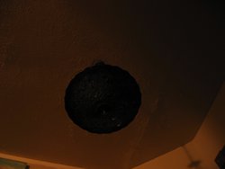 IMG_4337