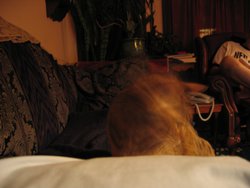 IMG_4348