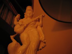 IMG_4358