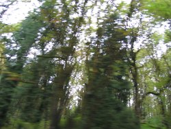 IMG_4373