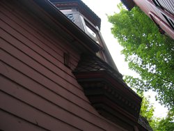 IMG_4379