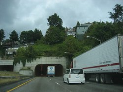 IMG_4397