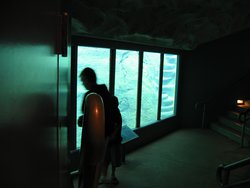 IMG_4405