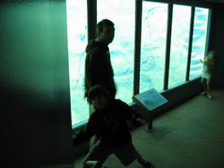 IMG_4406