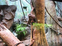 IMG_4408