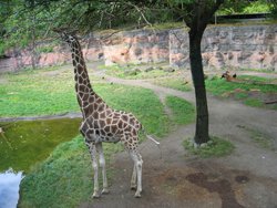 IMG_4420