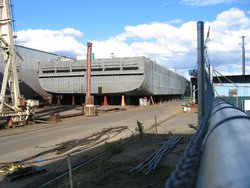 IMG_4444
