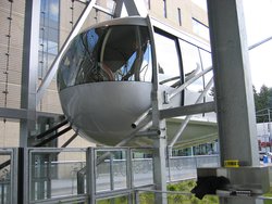 IMG_4450