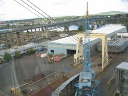 IMG_4455