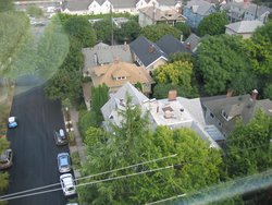 IMG_4460