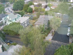 IMG_4461