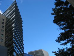 IMG_4469