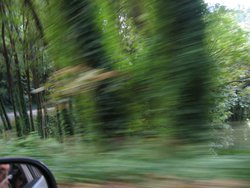 IMG_4470