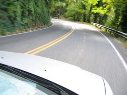 IMG_4471