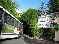 IMG_4476